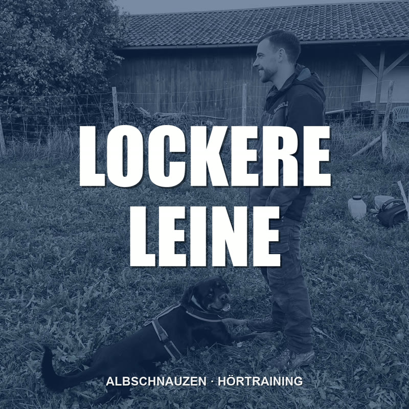 Hörtraining Leinenführigkeit Cover